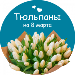 Купить тюльпаны в Сочи